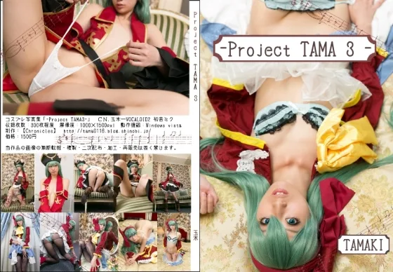 Project TAMA3
