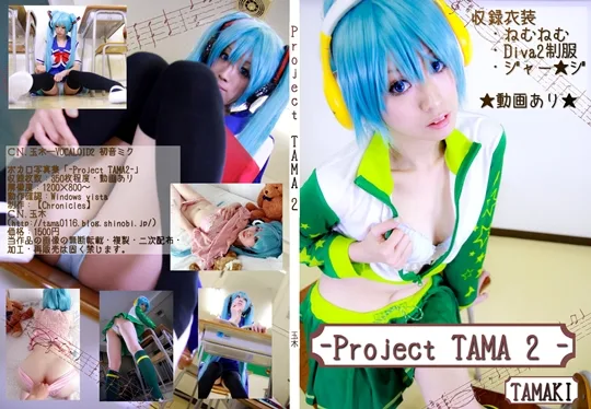 -Project TAMA2-